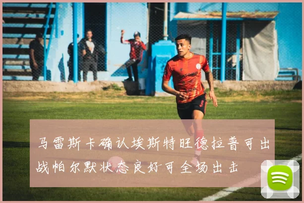 马雷斯卡确认埃斯特旺德拉普可出战帕尔默状态良好可全场出击